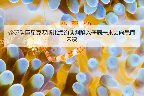 qi-e-dui-ju-xing-ke-luo-si-bi-xu-yue-tan-pan-xian-ru-jiang-ju-wei-lai-qu-xiang-xuan-er-wei-jue-3-585.jpg