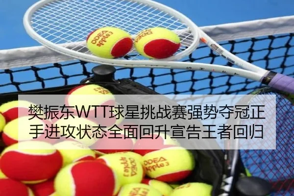 樊振东WTT球星挑战赛强势夺冠正手进攻状态全面回升宣告王者回归