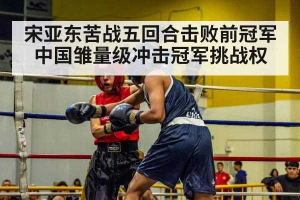 boxing match action